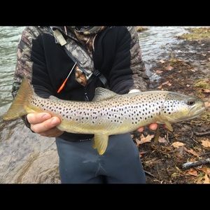 Meet your Posher, Aaron